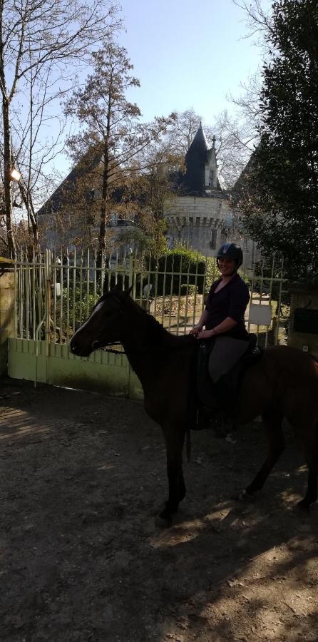 Bazouges-sur-le-Loir Chambre D'Hote En Vallee Du Loir - Elevage Des Rosiers מראה חיצוני תמונה