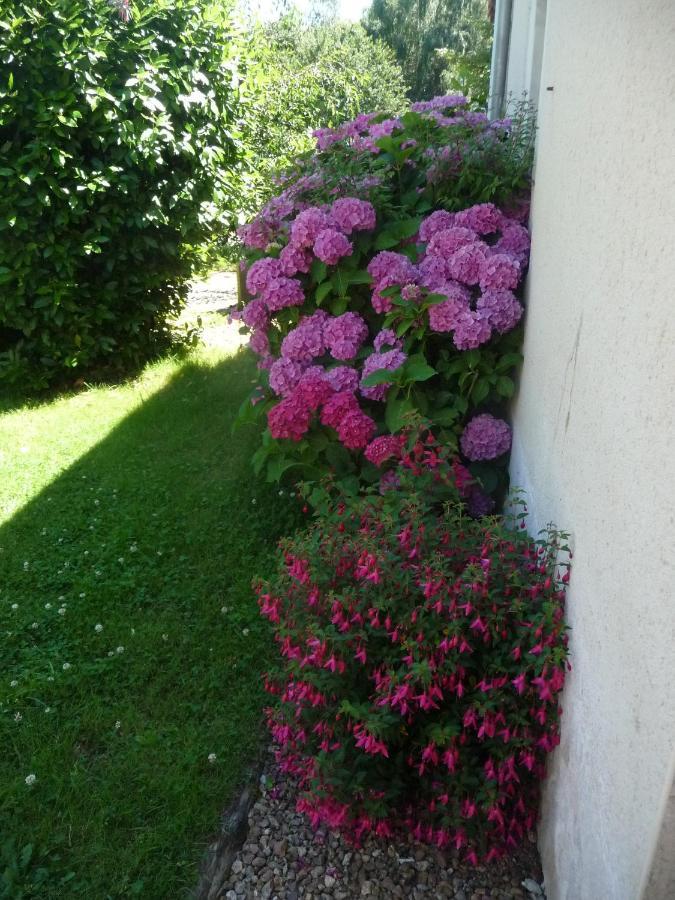 Bazouges-sur-le-Loir Chambre D'Hote En Vallee Du Loir - Elevage Des Rosiers מראה חיצוני תמונה