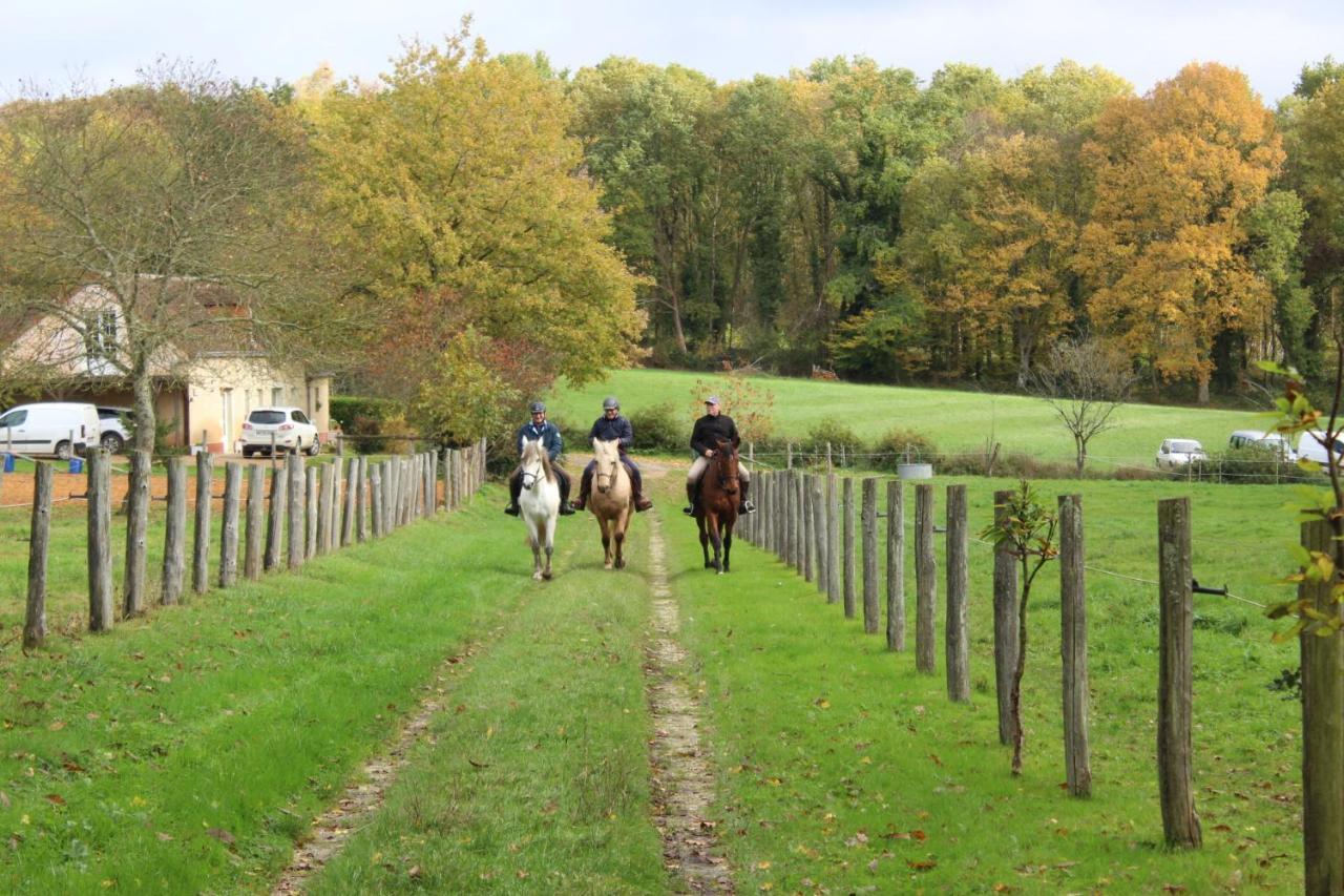 Bazouges-sur-le-Loir Chambre D'Hote En Vallee Du Loir - Elevage Des Rosiers מראה חיצוני תמונה